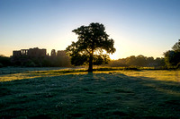 Kenilworth Castle Sunrise 14.05.2020 V